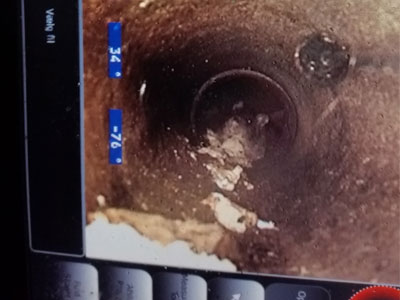 TV inspektion af kloak